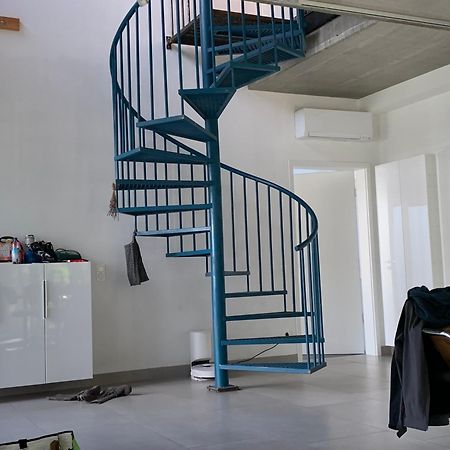 A Cozy Room In A Modern House พอทสดัม ภายนอก รูปภาพ